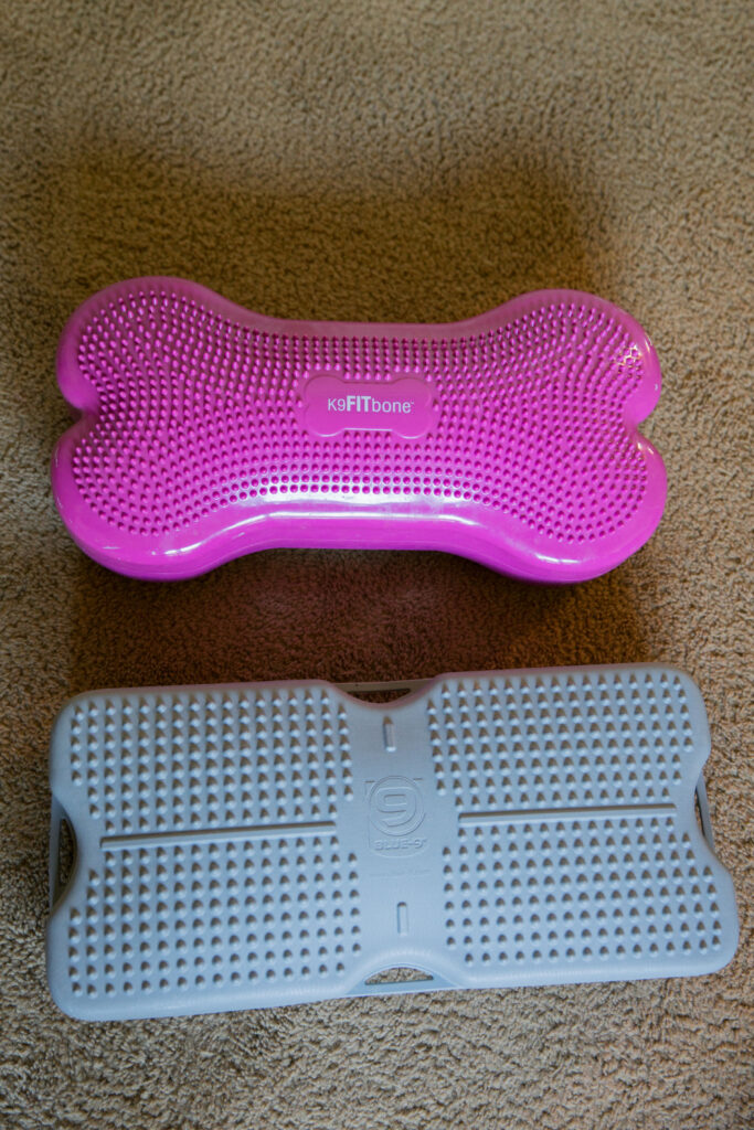 Fitpaws k9fitbone with blue-9 propel air platform sparkles and sunshine blog