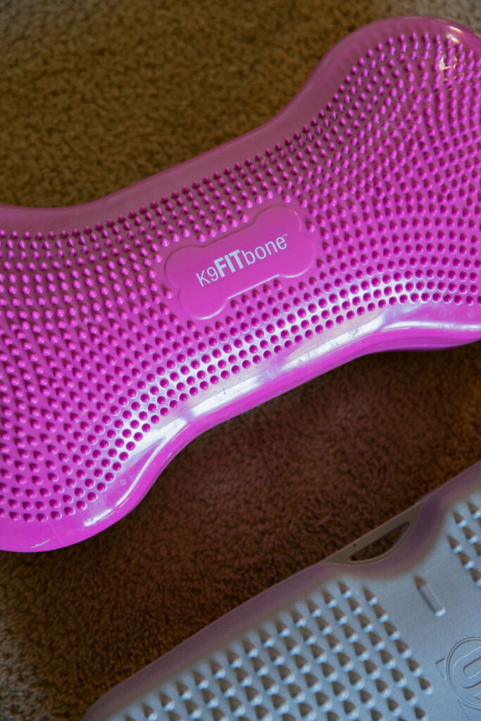 Fitpaws k9fitbone dog fitness equipment sparkles and sunshine blog