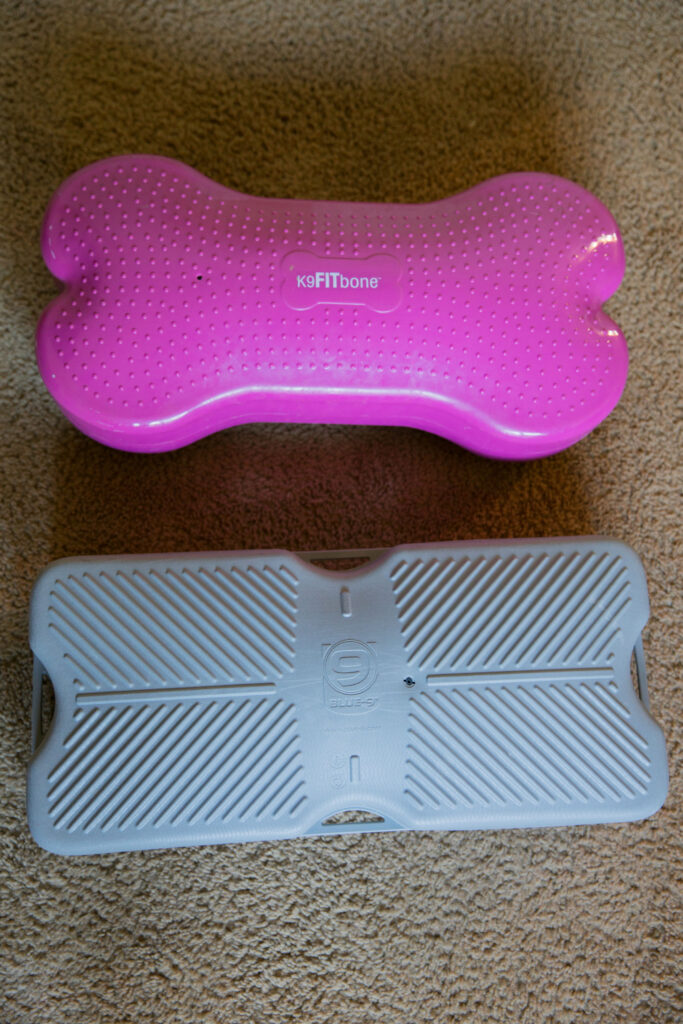 Fitpaws k9fitbone with blue-9 propel air platform sparkles and sunshine blog