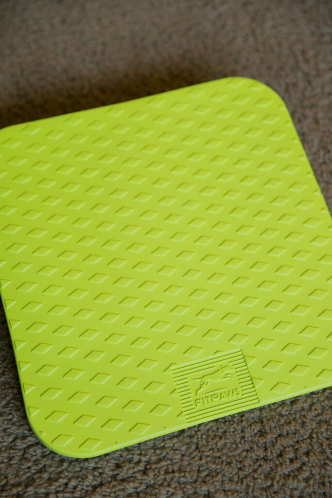 Fitpaws balance ramp for dog strength training sparkles and sunshine blog