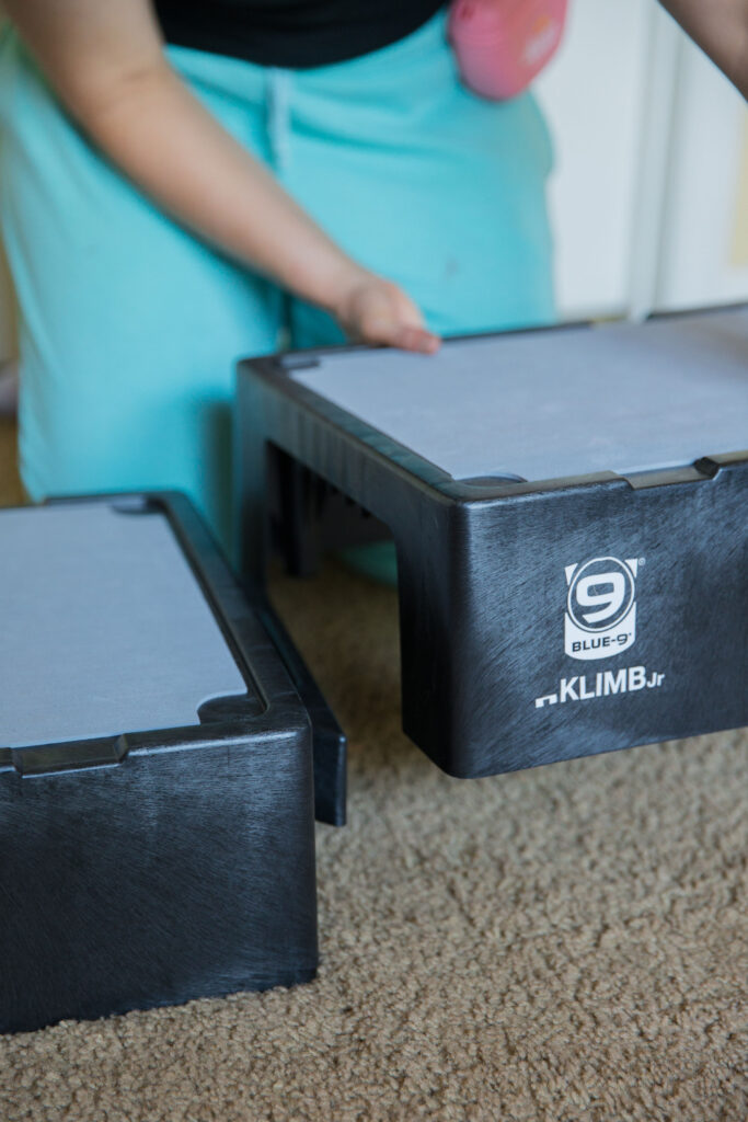 Two blue-9 pet products KLIMB Jr’s connected sparkles and sunshine blog