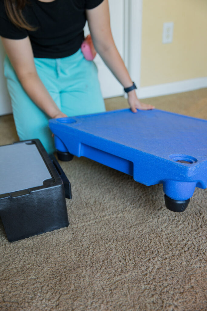 Blue-9 pet products KLIMB Jr. with KLIMB dog training platform sparkles and sunshine blog