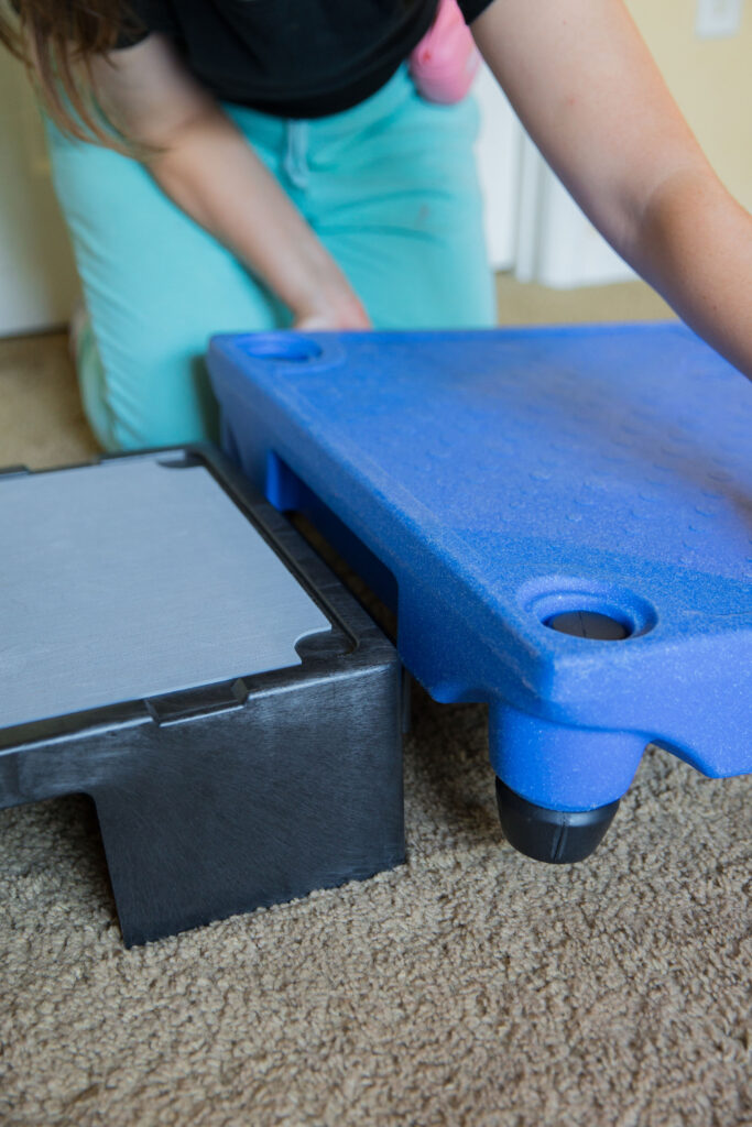 Blue-9 pet products KLIMB Jr. with KLIMB dog training platform sparkles and sunshine blog