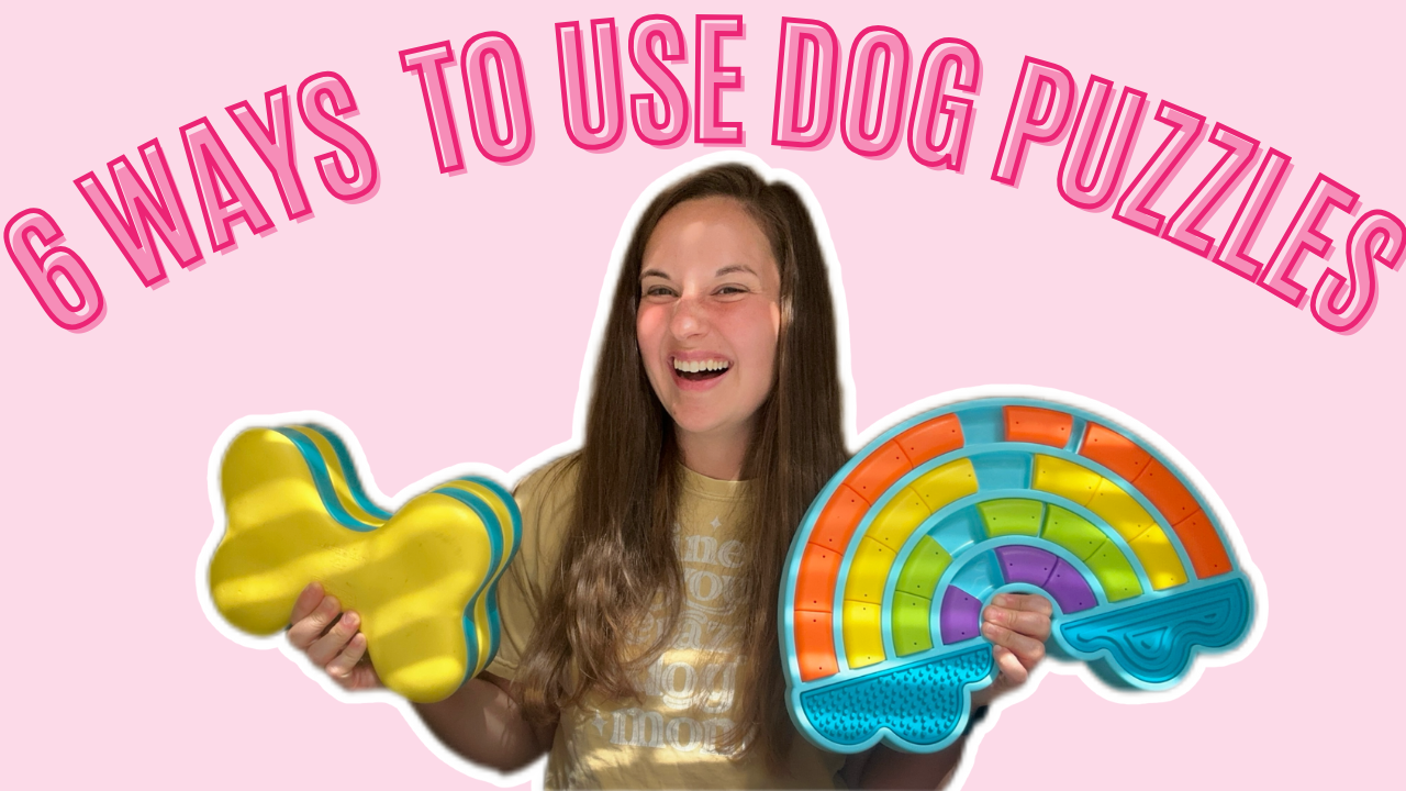6 Ways To Use Your Dog Enrichment Puzzles and make them more challenging sparkles and sunshine blog youtube channel