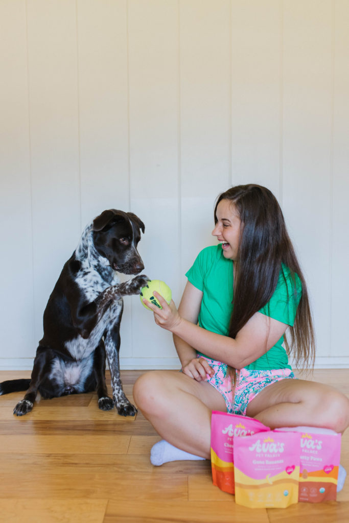 diy dog treat dispenser using xl kong tennis ball sparkles and sunshine blog