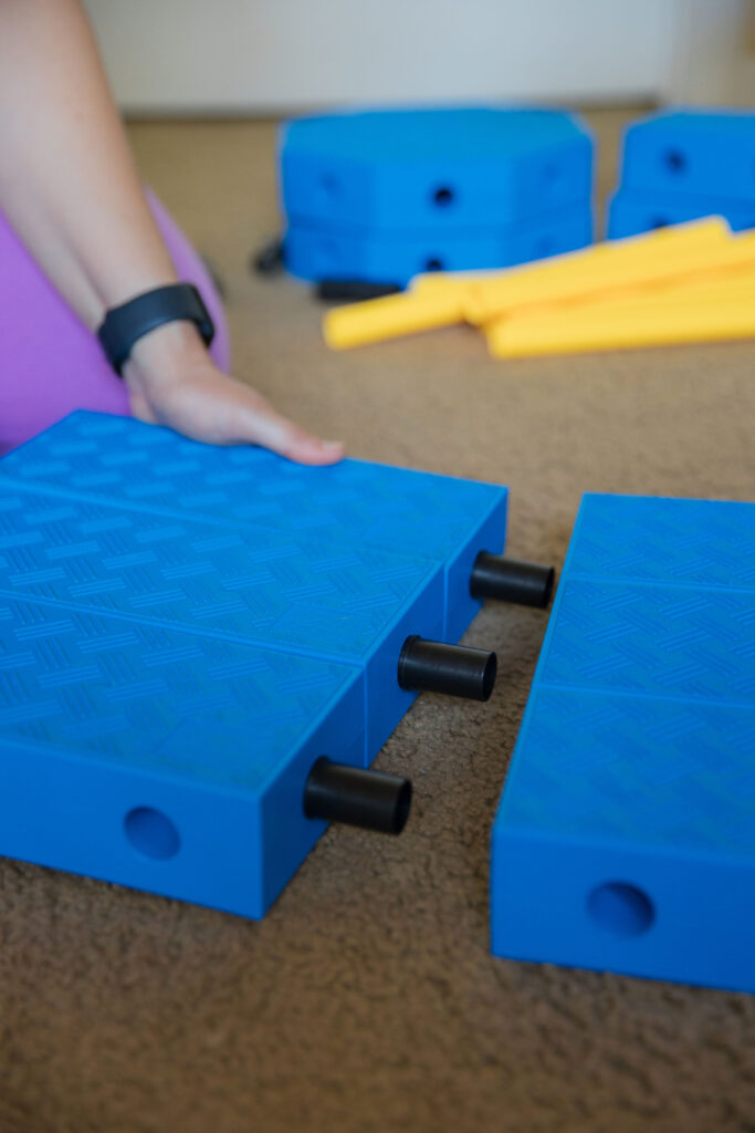 Dog fitness equipment tuck sit platform with FitPaws FitKinect Sparkles and Sunshine Blog