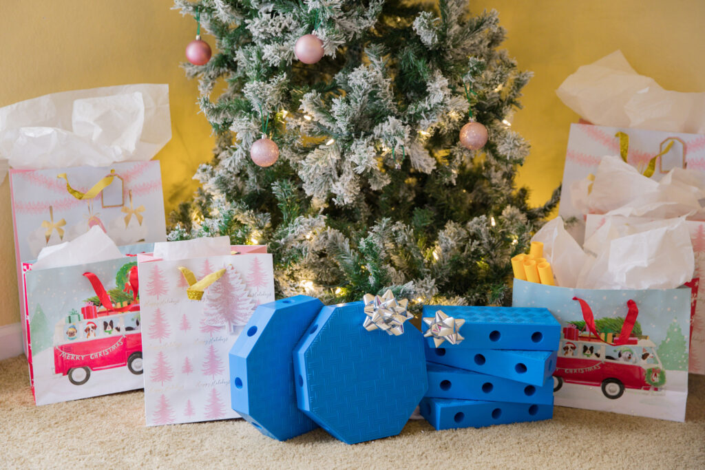 fitpaws fitkinect dog fitness equipment